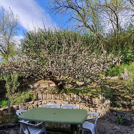 Apartment Spacieux Et Confortables A Proximite Randonnees, Lacs, Nature