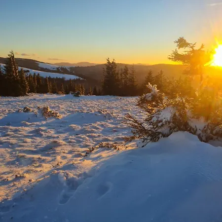 شقة Sejour Nature Vosges Rando & Velo & Patrimoine & Ski Sondernach