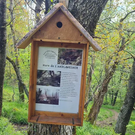 Sejour Nature Vosges Rando & Velo & Patrimoine & Ski * Sondernach