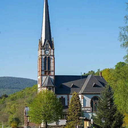 شقة Sejour Nature Vosges Rando & Velo & Patrimoine & Ski