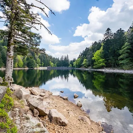 شقة Sejour Nature Vosges Rando & Velo & Patrimoine & Ski *