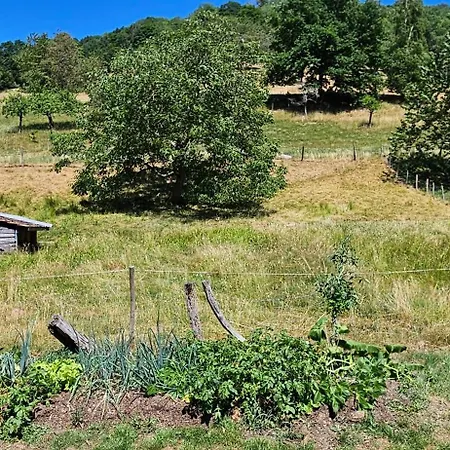شقة Sejour Nature Vosges Rando & Velo & Patrimoine & Ski