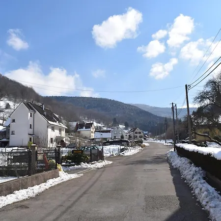 Sejour Nature Vosges Rando & Velo & Patrimoine & Ski شقة