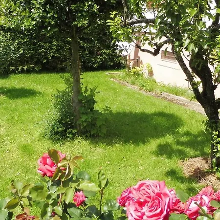 Spacieux Et Confortables A Proximite Randonnees, Lacs, Nature * Sondernach