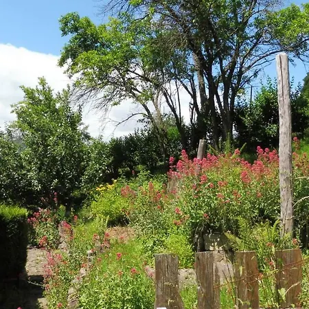Apartment Spacieux Et Confortables A Proximite Randonnees, Lacs, Nature Sondernach