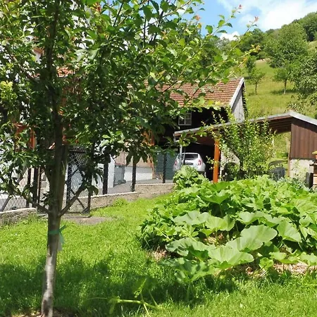 Sejour Nature Vosges Rando & Velo & Patrimoine & Ski