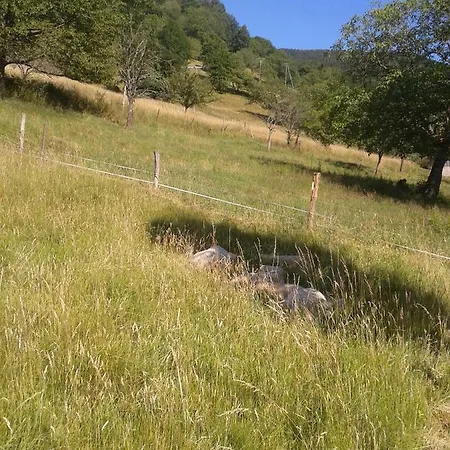 شقة Sejour Nature Vosges Rando & Velo & Patrimoine & Ski