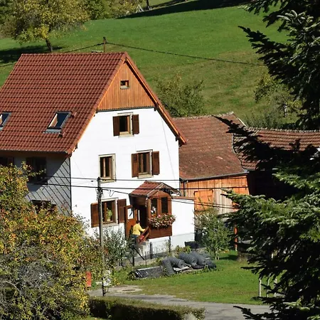 Sejour Nature Vosges Rando & Velo & Patrimoine & Ski * Sondernach